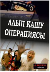 Алып кашу операциясы / Романтическая комедия - похищение (2011)